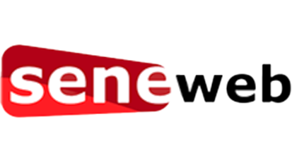 Sin Web Newspaper