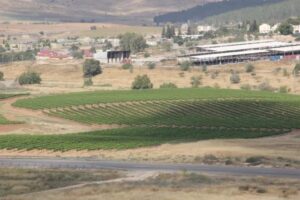 المتحدث باسم وزارة الزراعة في غزة لـ “قنا”: 2.8 مليار دولار خسائر القطاع الزراعي خلال العدوان الإسرائيلي