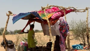 السودان يستنكر الصمت الدولي على انتهاكات قوات الدعم السريع في الفاشر وبارا