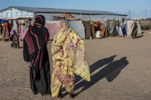 منظمة الهجرة الدولية: نزوح نحو 2000 شخص في ولاية شمال كردفان جنوب السودان