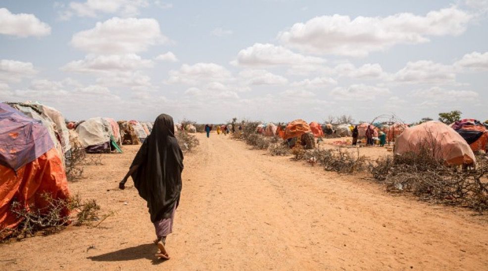 الأمم المتحدة: الجوع والنزاع “وجهان لأزمة واحدة” ويهددان الأمن العالمي