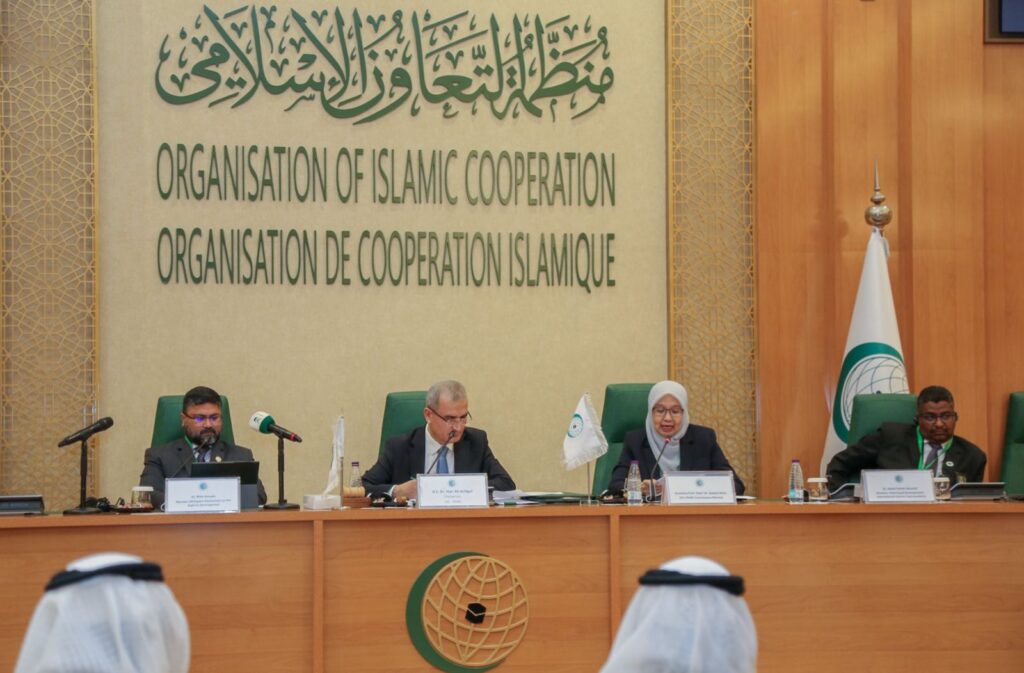 دورة الهيئة الدائمة المستقلة لحقوق الإنسان تناقش المنظور القانوني الدولي بشأن حقوق الشباب