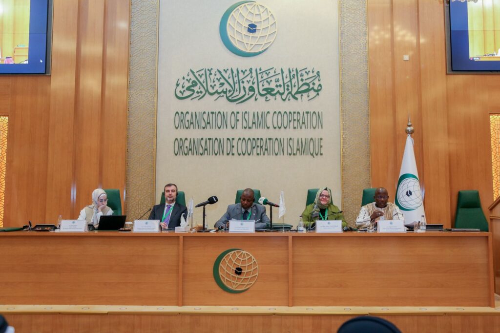 دورة الهيئة الدائمة المستقلة لحقوق الإنسان تناقش الأبعاد المؤسسية لحقوق الشباب