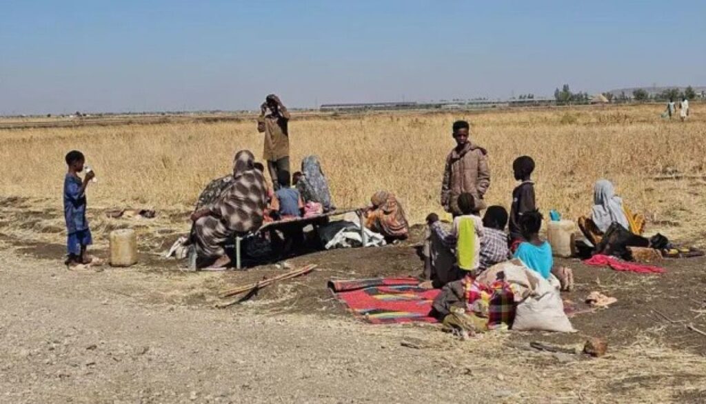 لجنة أممية تعرب عن قلقها إزاء الأوضاع في ولاية جونقلي جنوب السودان