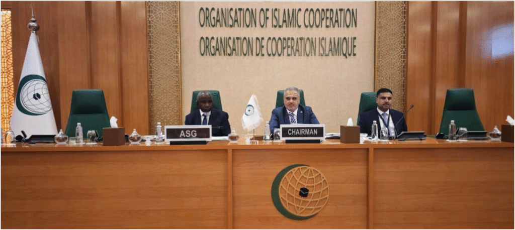 المدير التنفيذي لصندوق التضامن الإسلامي يشارك في الاجتماعات التحضيرية للدورة الثانية والخمسين لمجلس وزراء الخارجية